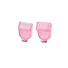 Tondeuse BIKINI + TOTE BAG Collection Pink Flamingo